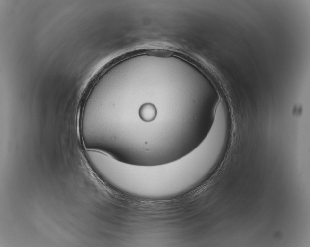 X0000114631272200911101228