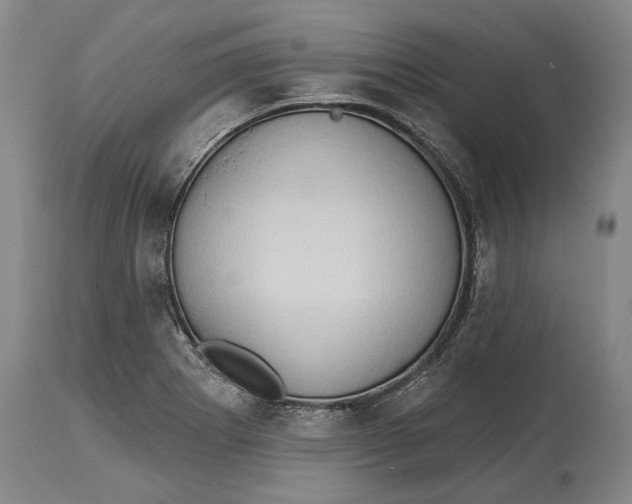 X0000114631273200911101228