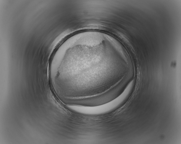 X0000114631275200911101228