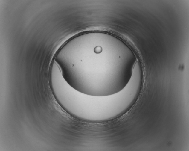 X0000114631276200911101228