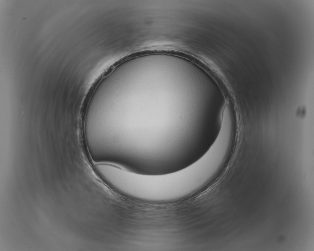 X0000114631277200911101228