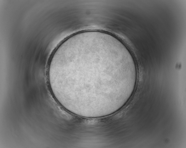 X0000114631278200911101228