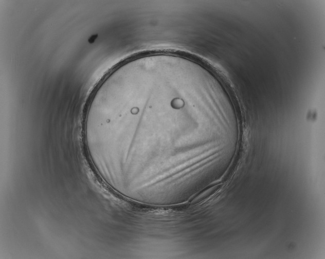 X0000114631279200911101228