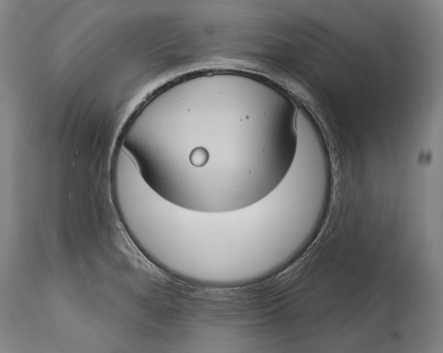 X0000114631280200911101228