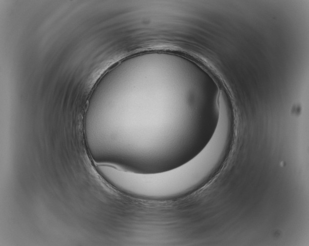 X0000114631281200911101228