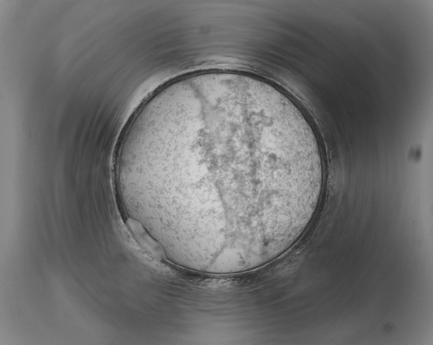 X0000114631283200911101228