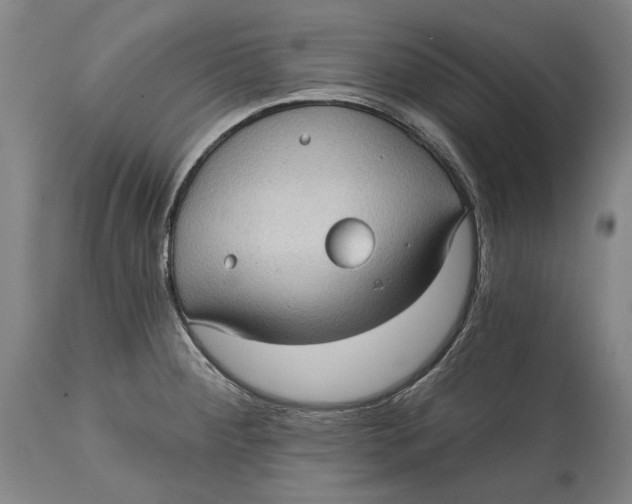 X0000114631284200911101228