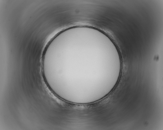 X0000114631286200911101228