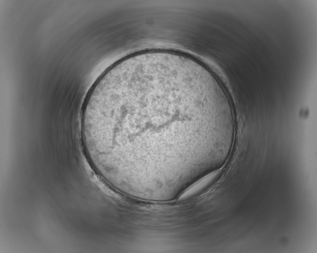 X0000114631287200911101228