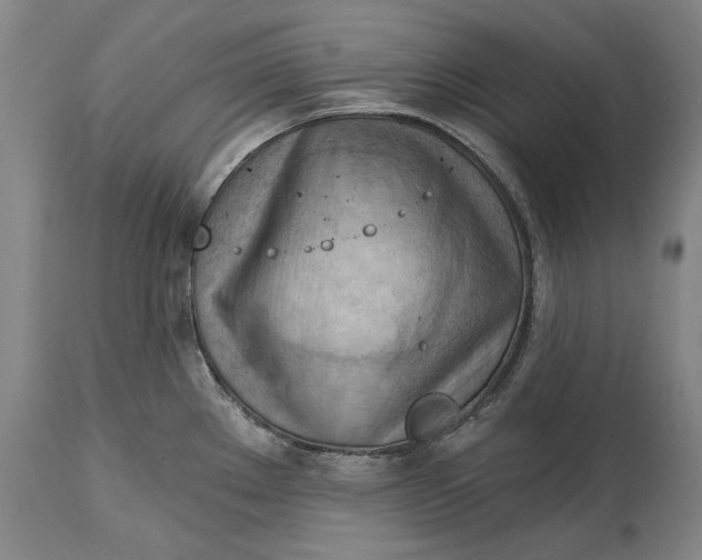 X0000114631289200911101228