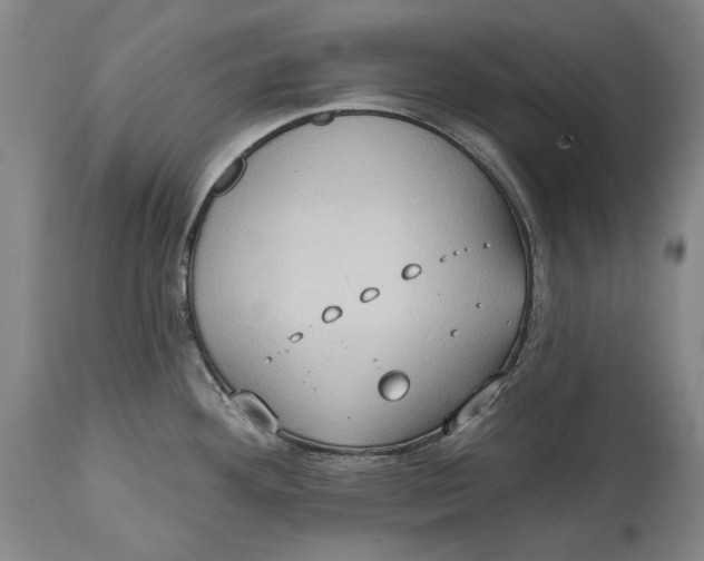 X0000114631292200911101228