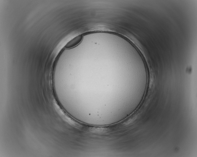 X0000114631293200911101228