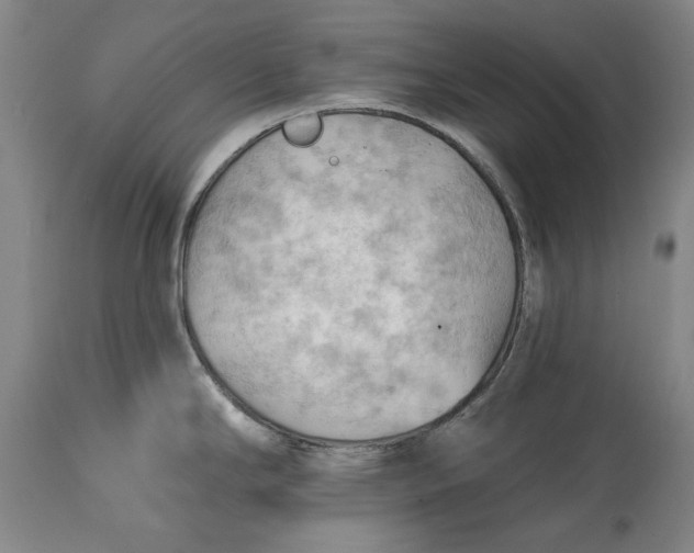 X0000114631294200911101228