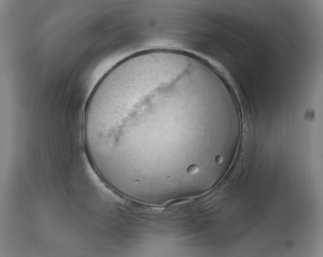 X0000114631295200911101228