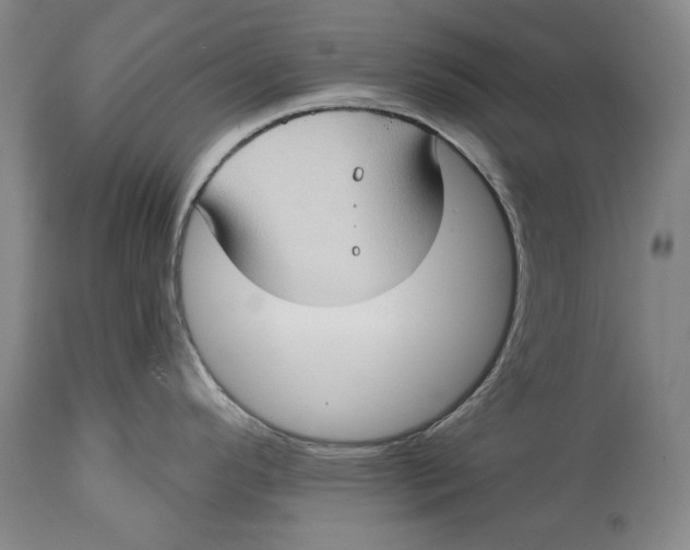 X0000114631296200911101228