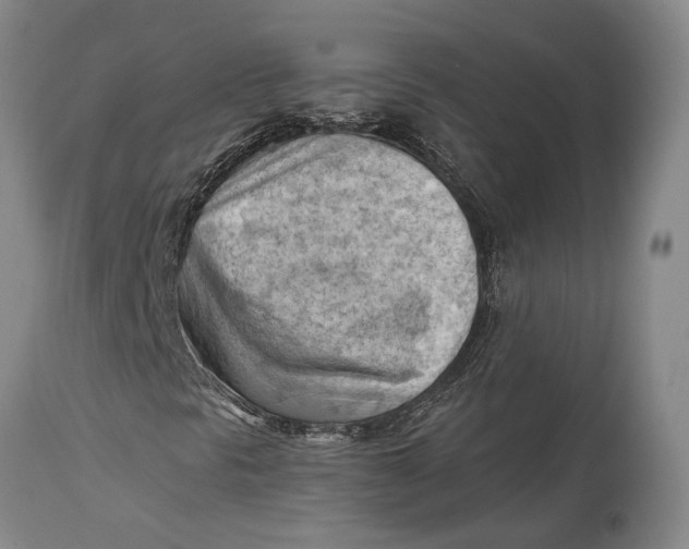 X0000114631297200911101227