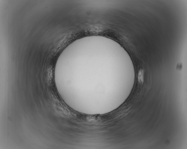 X0000114631299200911101227