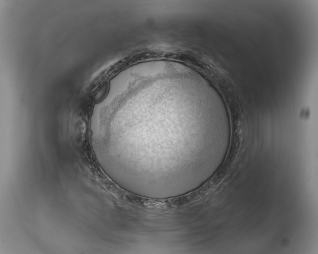 X0000114631302200911101227