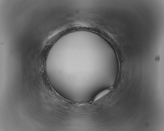 X0000114631303200911101227