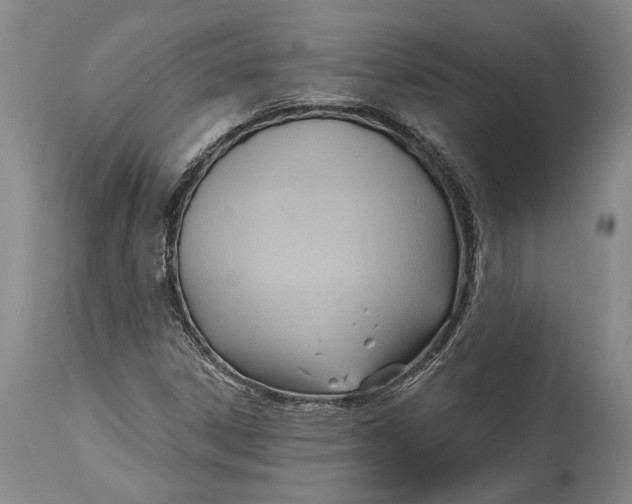 X0000114631306200911101227