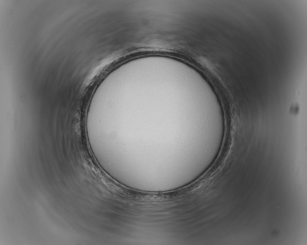 X0000114631307200911101227