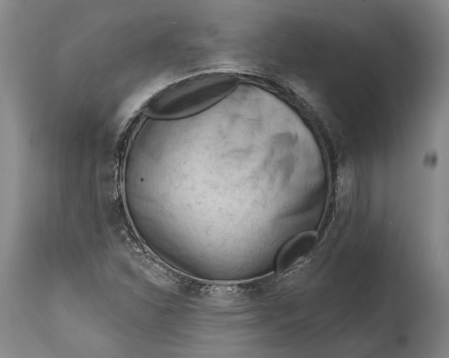 X0000114631310200911101227