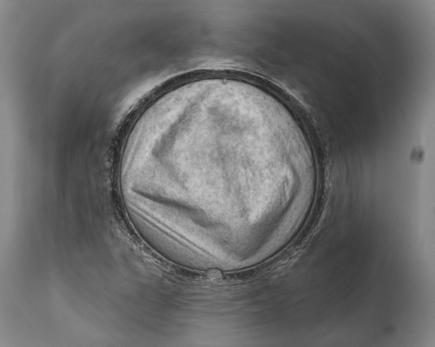 X0000114631311200911101227