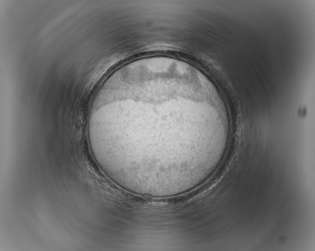 X0000114631313200911101227