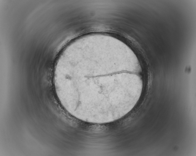 X0000114631314200911101227