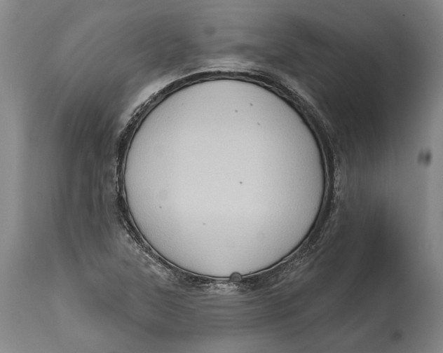 X0000114631315200911101227