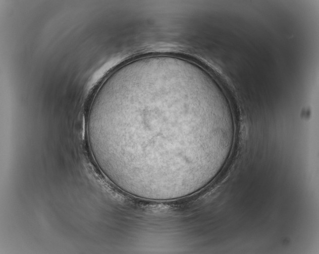 X0000114631317200911101227