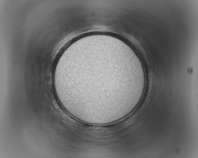 X0000114631318200911101228