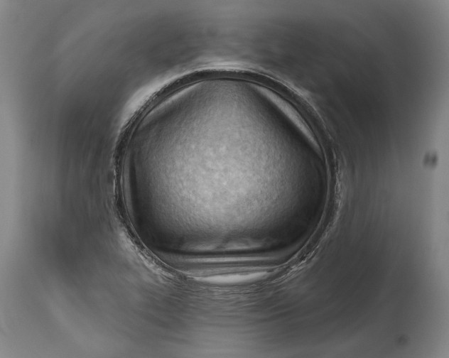 X0000114631319200911101228