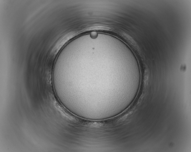 X0000114631321200911101228