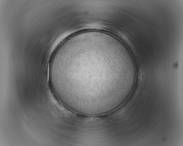 X0000114631323200911101228