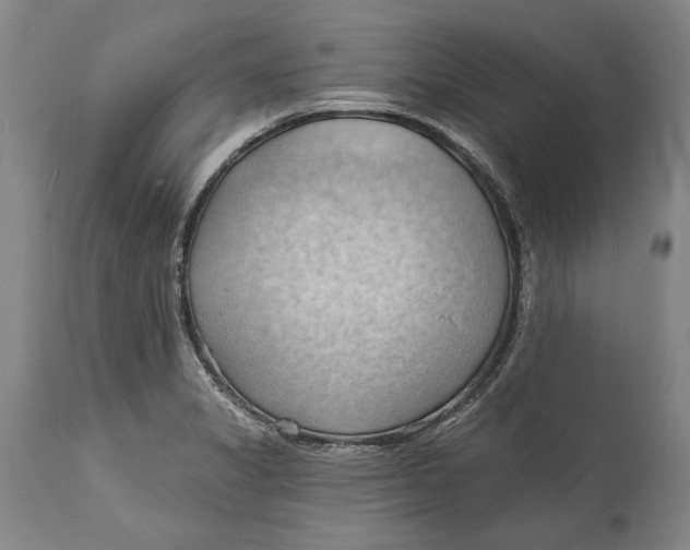 X0000114631325200911101228