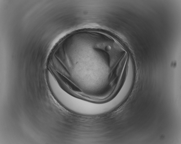 X0000114631326200911101228