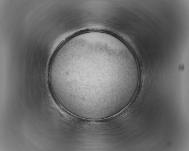 X0000114631327200911101228