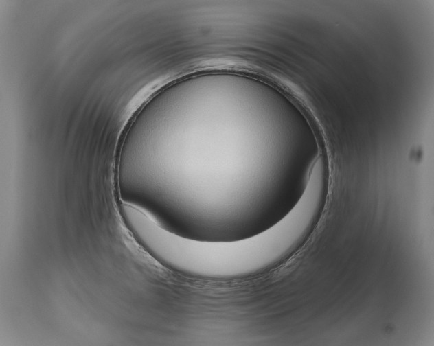 X0000114631330200911101228