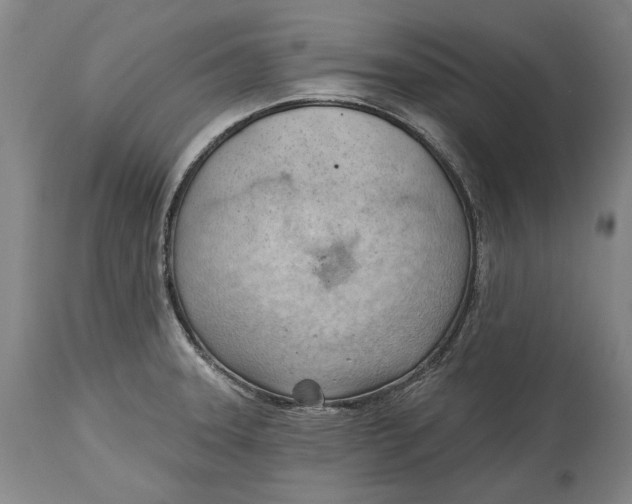 X0000114631331200911101228