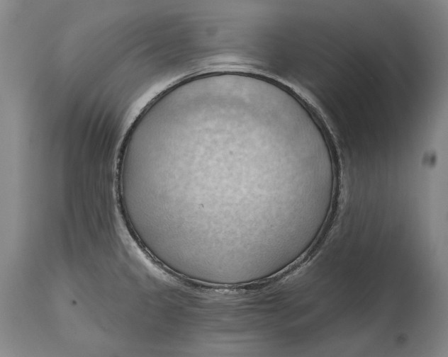 X0000114631333200911101228