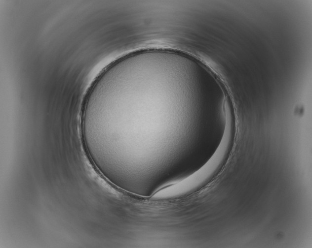 X0000114631334200911101228