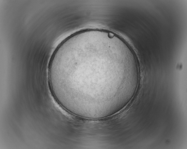 X0000114631335200911101228