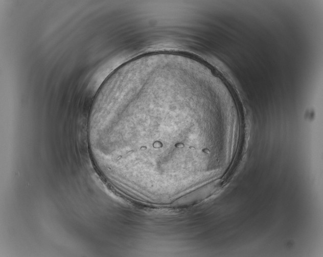 X0000114631337200911101228