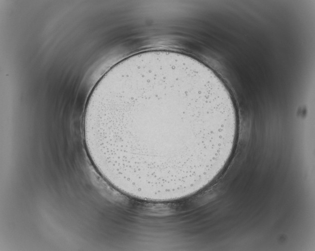 X0000114631338200911101228