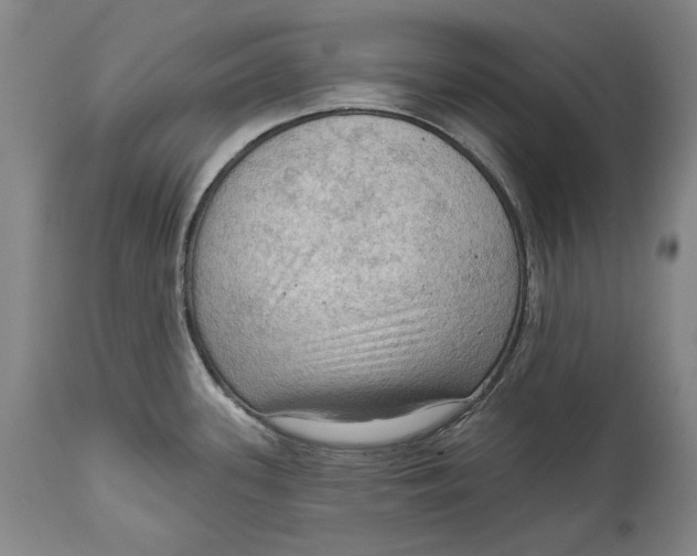 X0000114631339200911101228