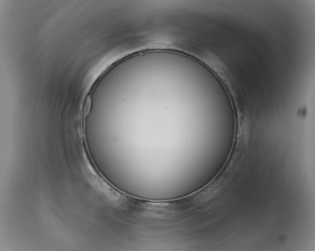 X0000114631342200911101228