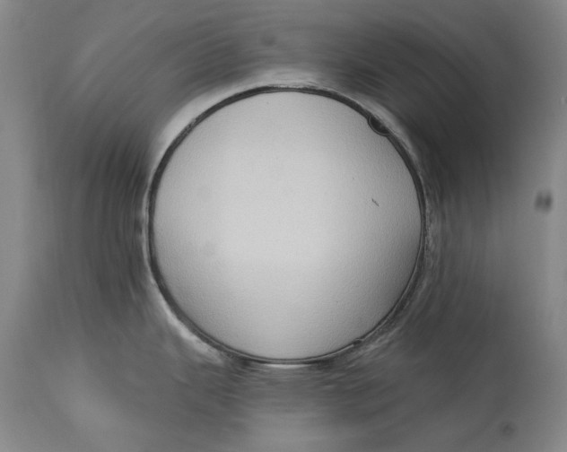 X0000114631343200911101228