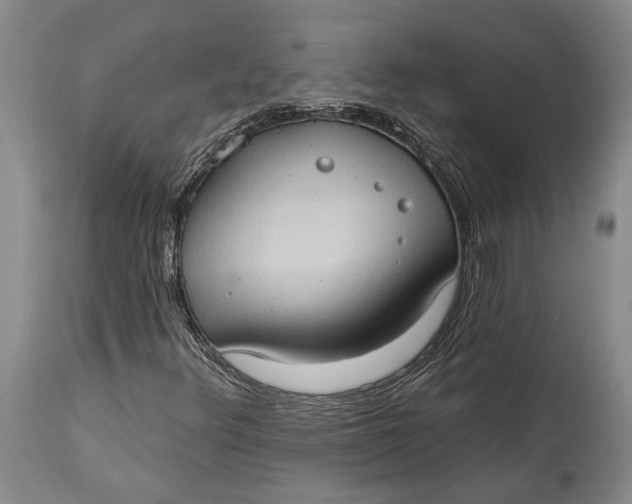 X0000114631348200911101227