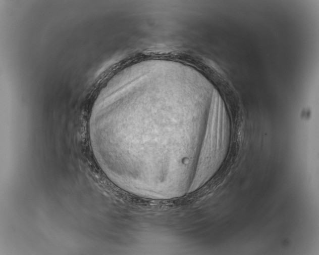 X0000114631350200911101227